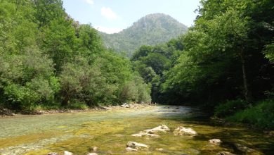 Novikonjic.ba