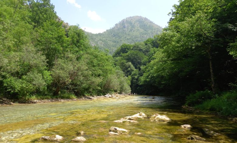 Novikonjic.ba