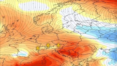 BH Meteo