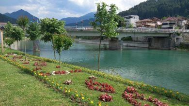 NOVIKONJIC.BA