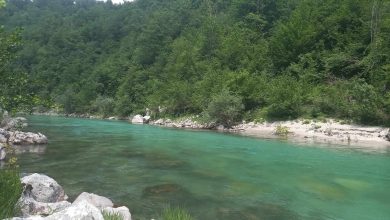 Novikonjic.ba